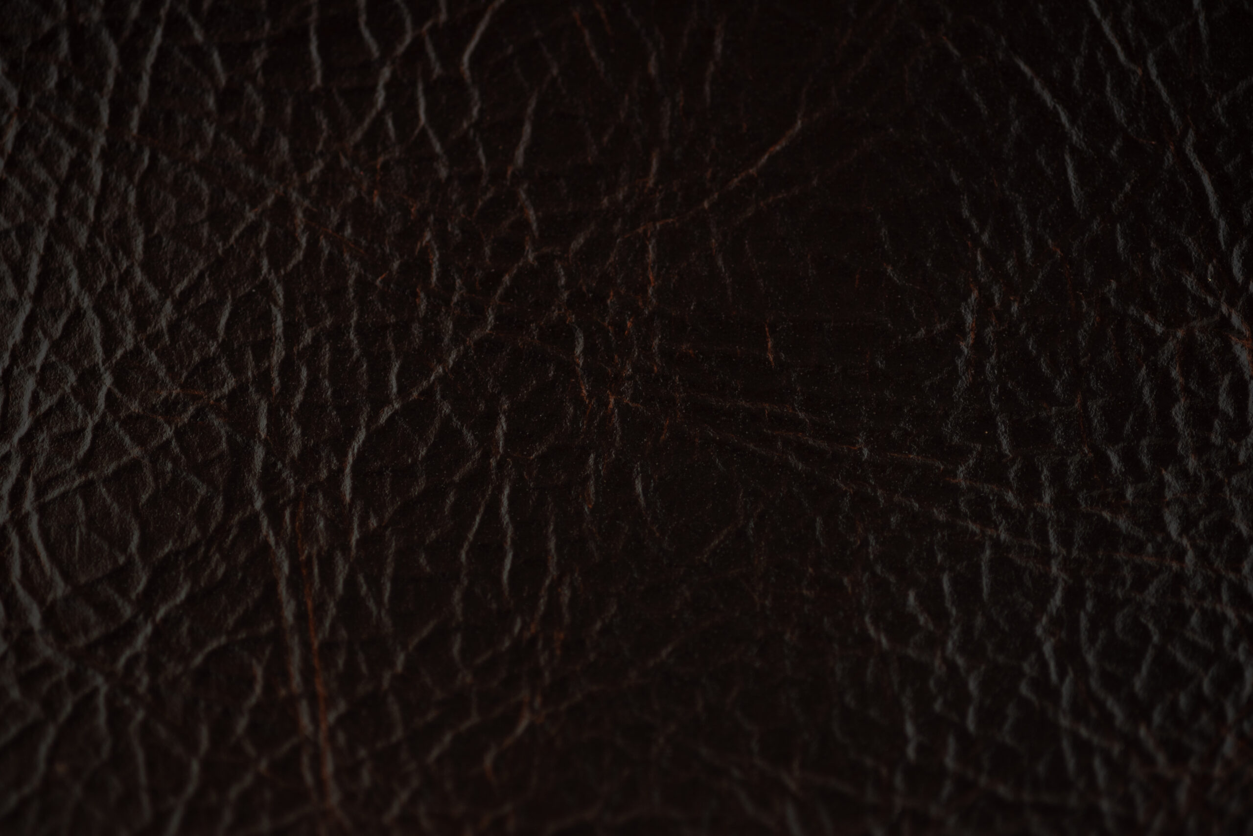 buttero brown 2