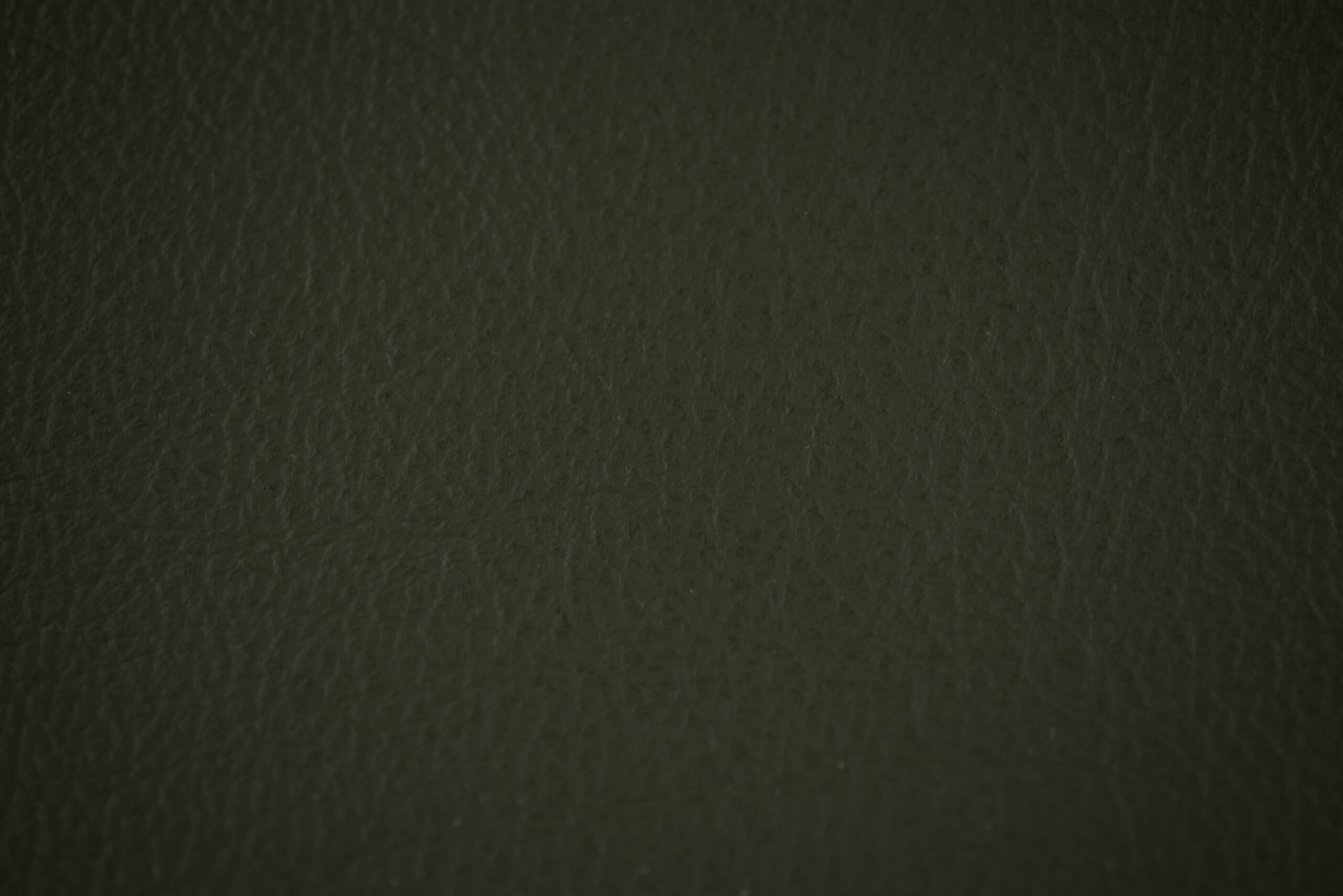 madras oliva 2