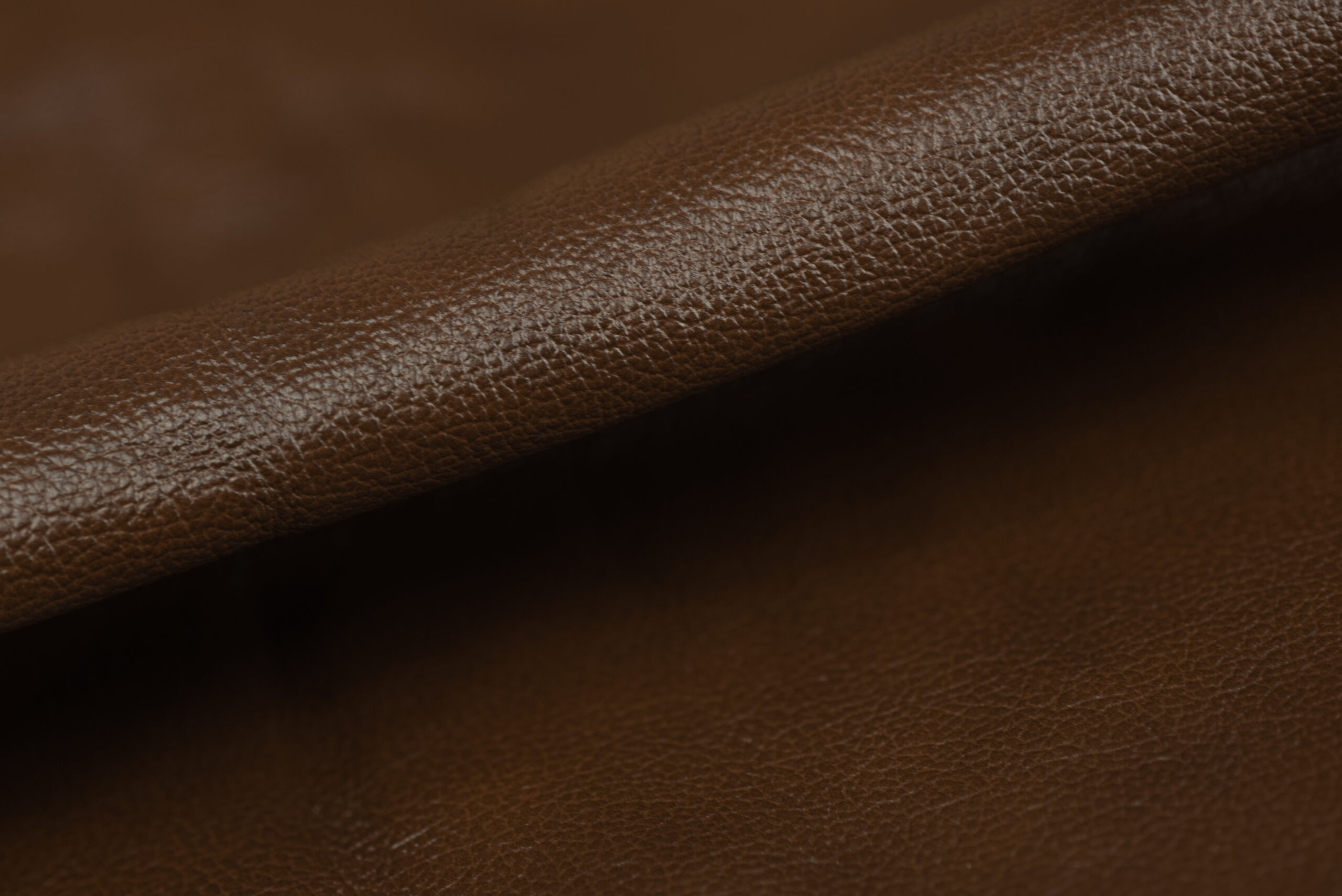 madras t1