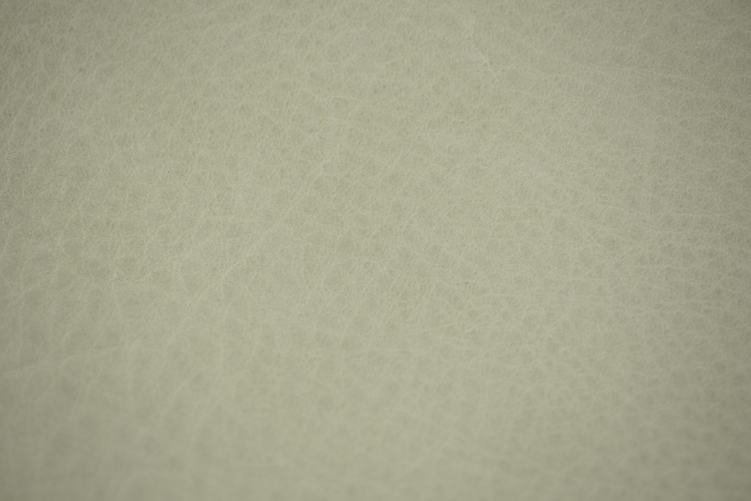 nubuk ivory 2