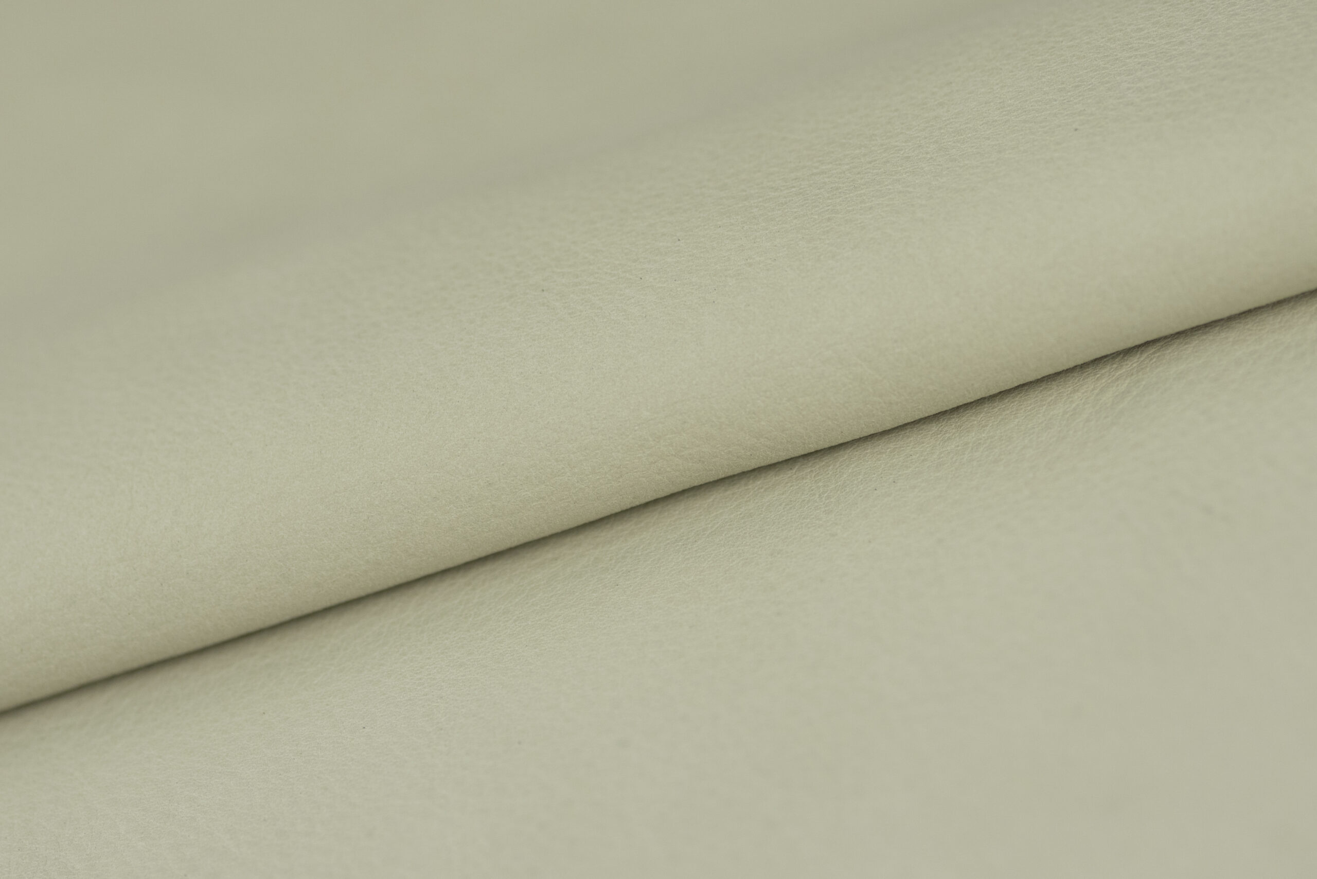 nubuk ivory
