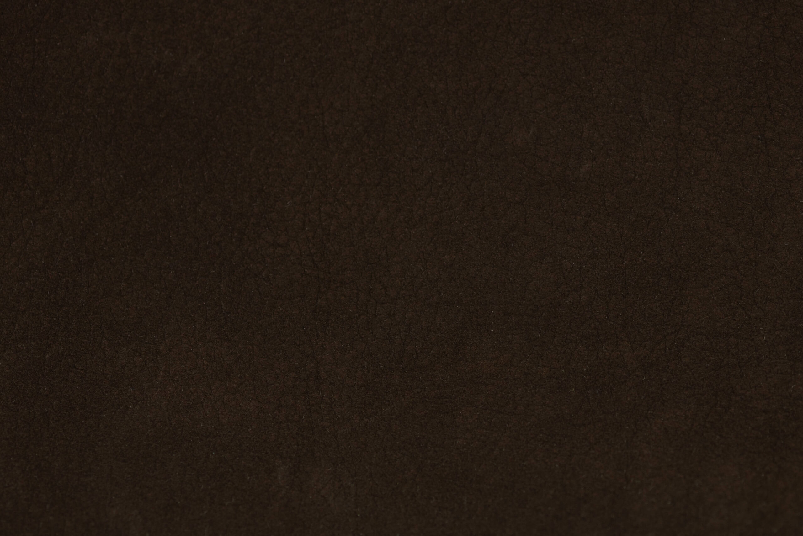 safari d brown 2-min