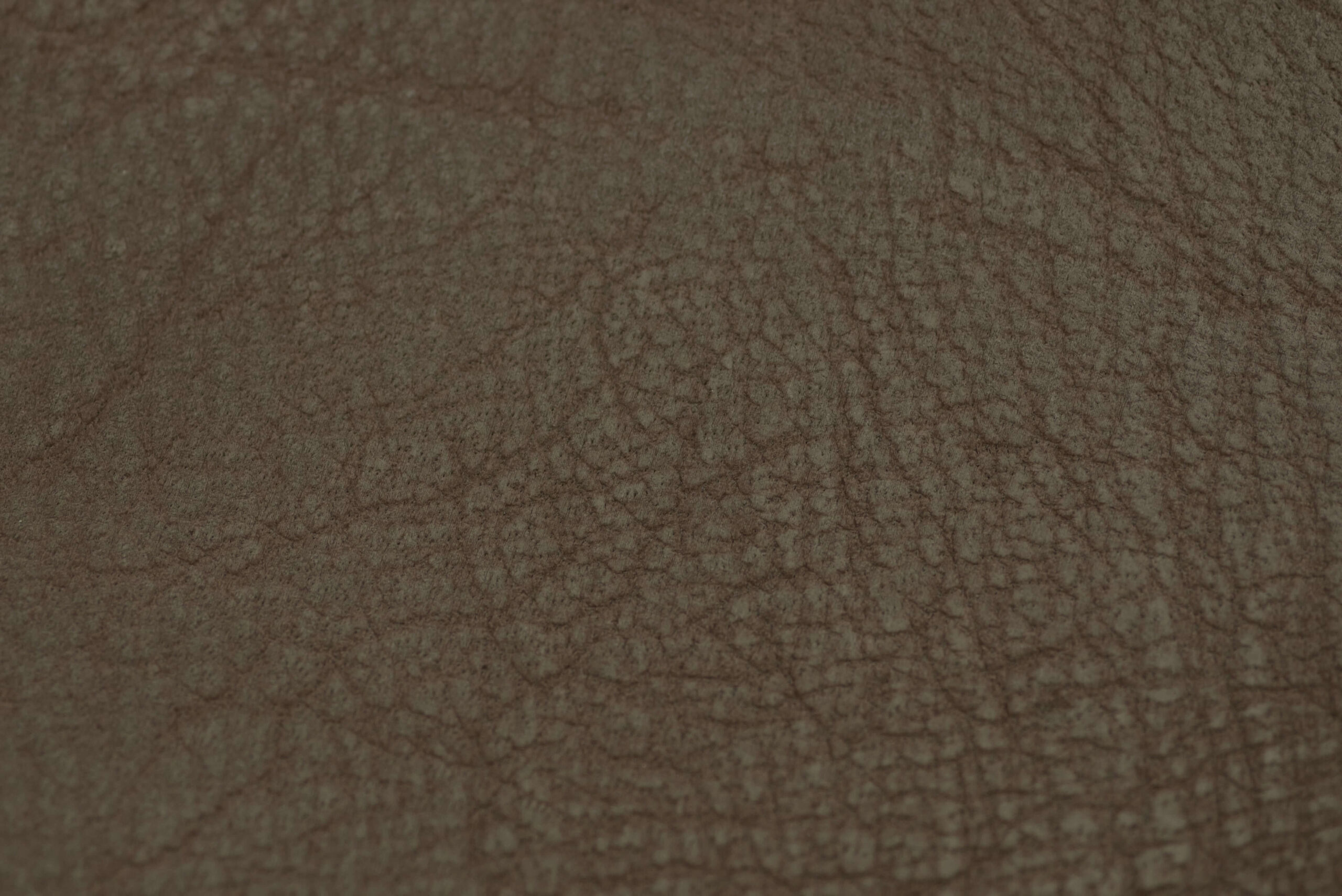 safari deserto-min