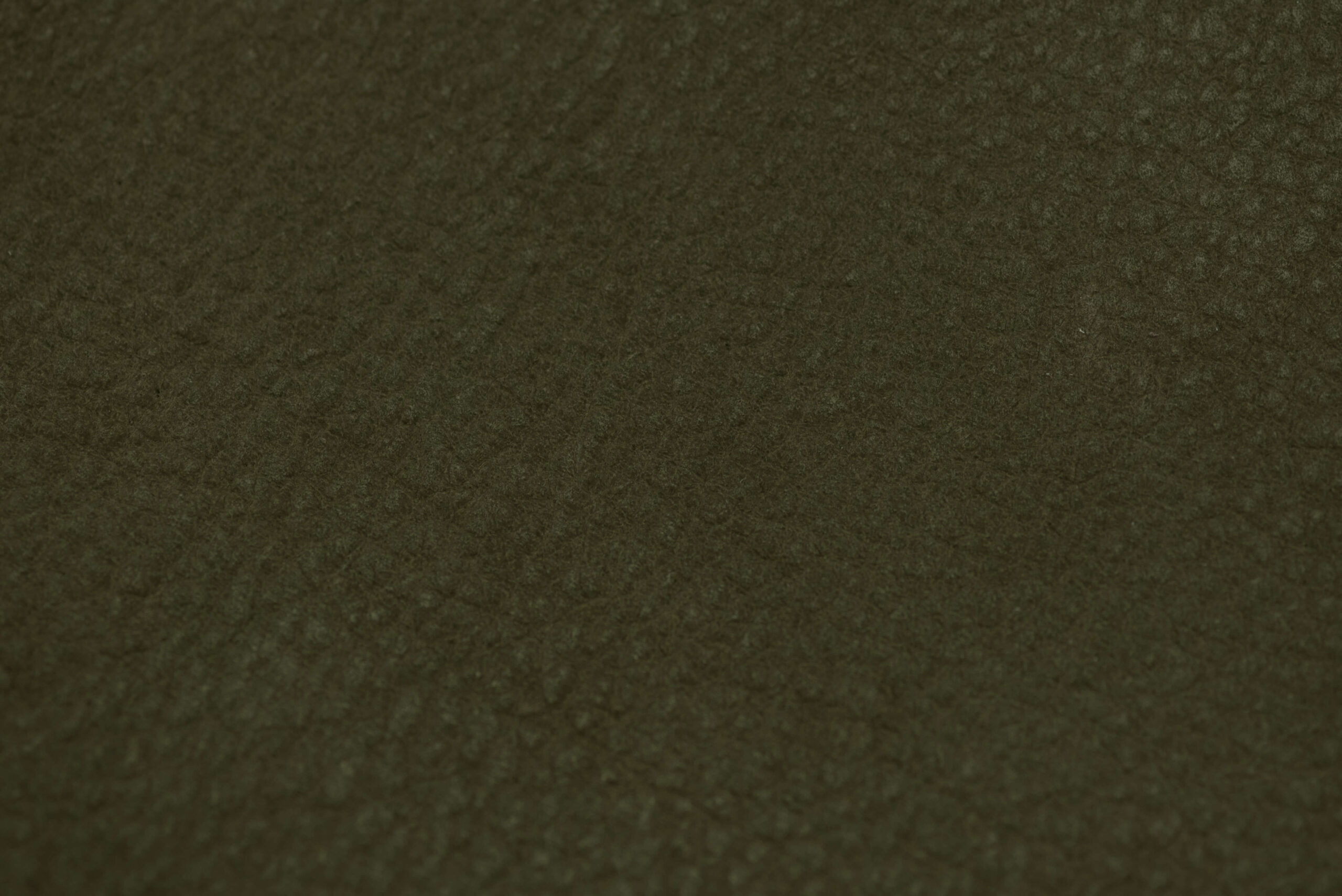 safari olive-min